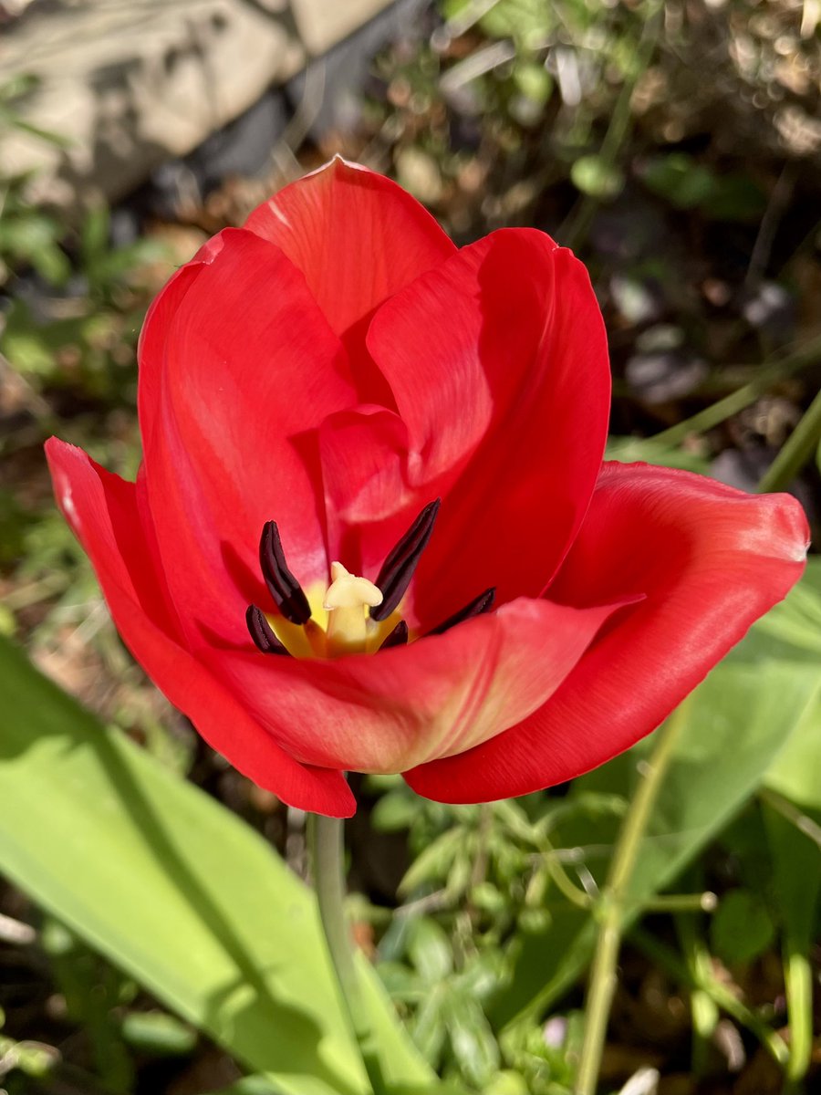 Stifyn Parri 🌈 tweet media