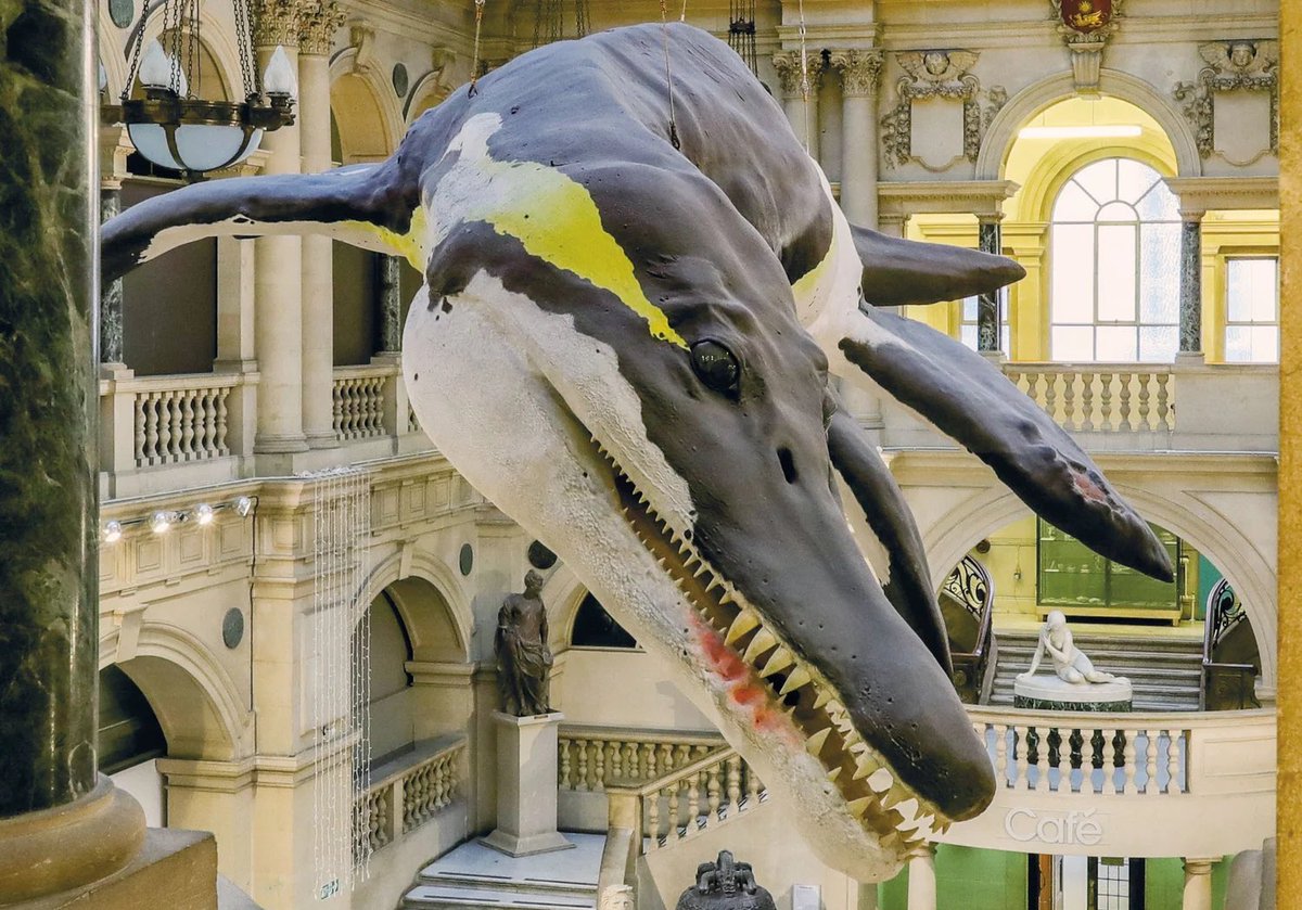 Taylor McCoy 🦖 tweet media