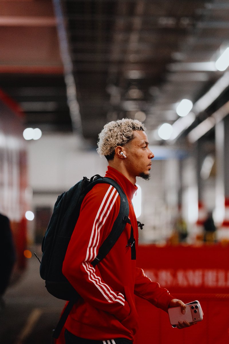 Steven Halliwell tweet media