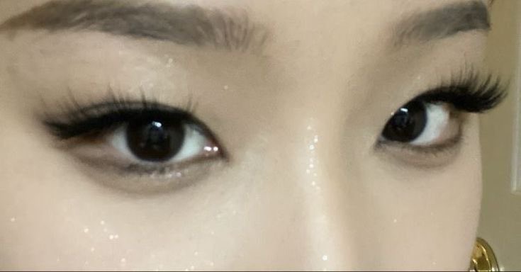 Yūrei 幽霊 tweet media