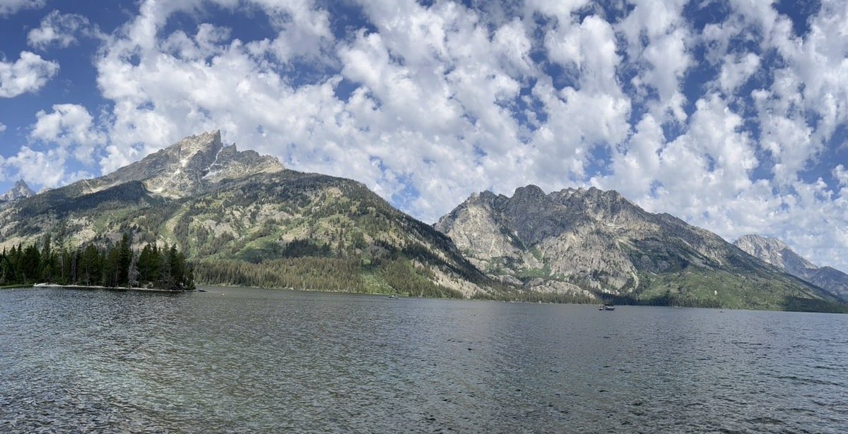 Michael S Smith tweet media