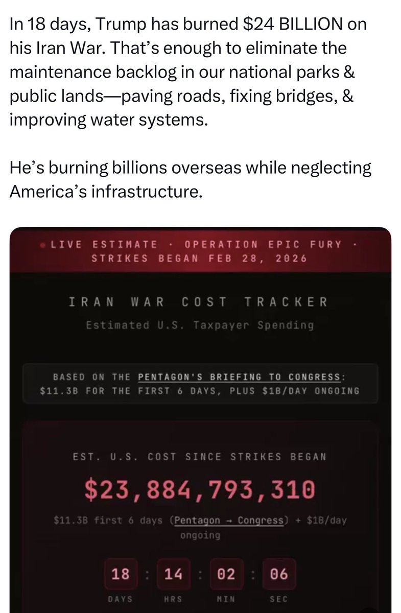 Chiara Degli Esposti 🚐🍔🦊 tweet media