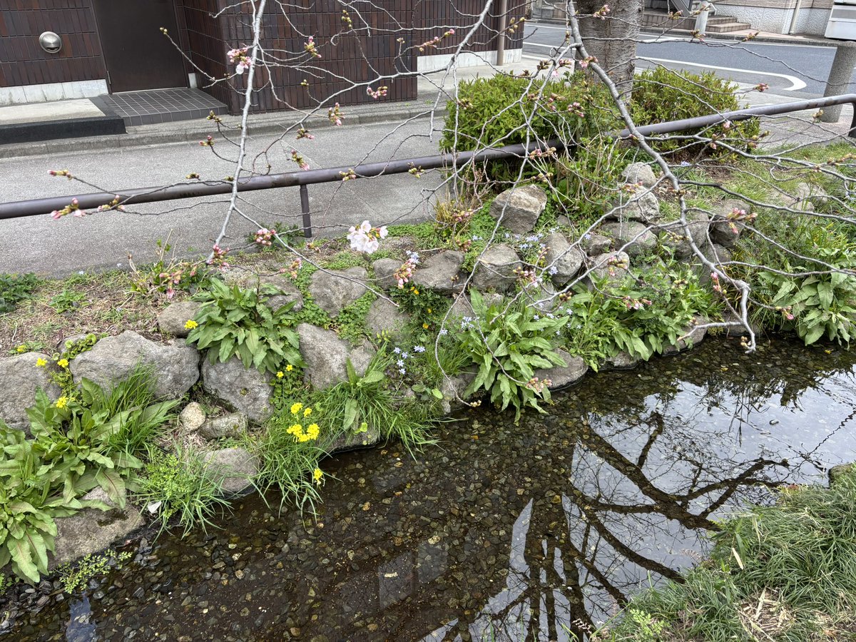 Chika2550🇹🇭🇩🇰🇳🇴🇯🇵 tweet media