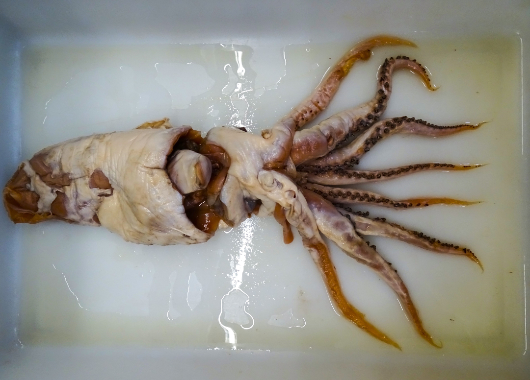 ICM-CSIC tweet media