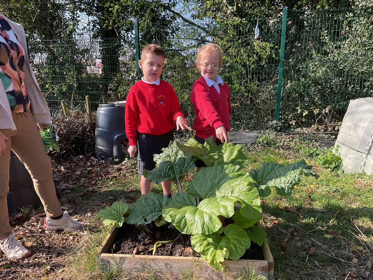 Simonstone StPeter's tweet media