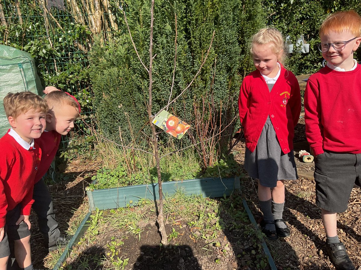 Simonstone StPeter's tweet media