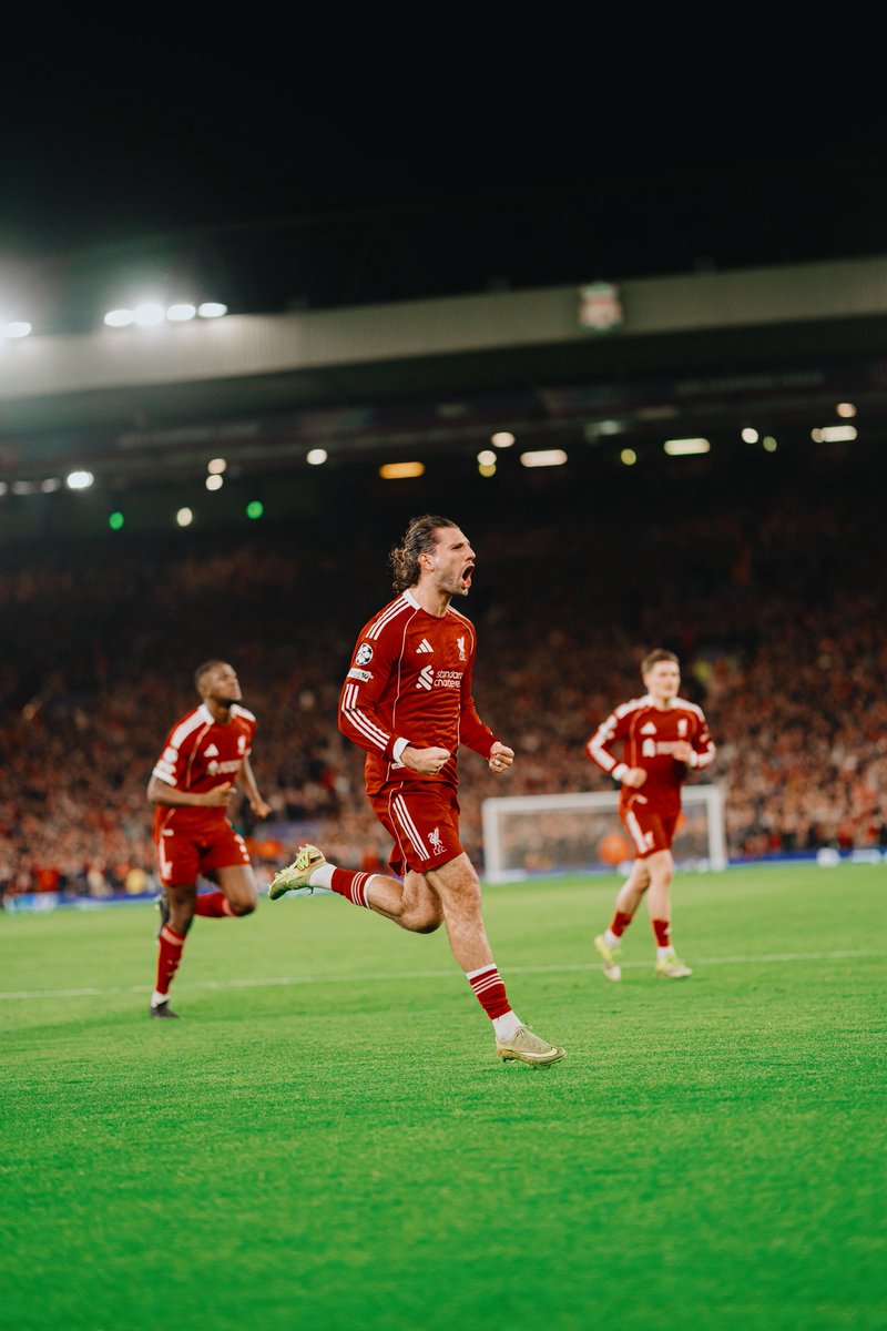 Steven Halliwell tweet media