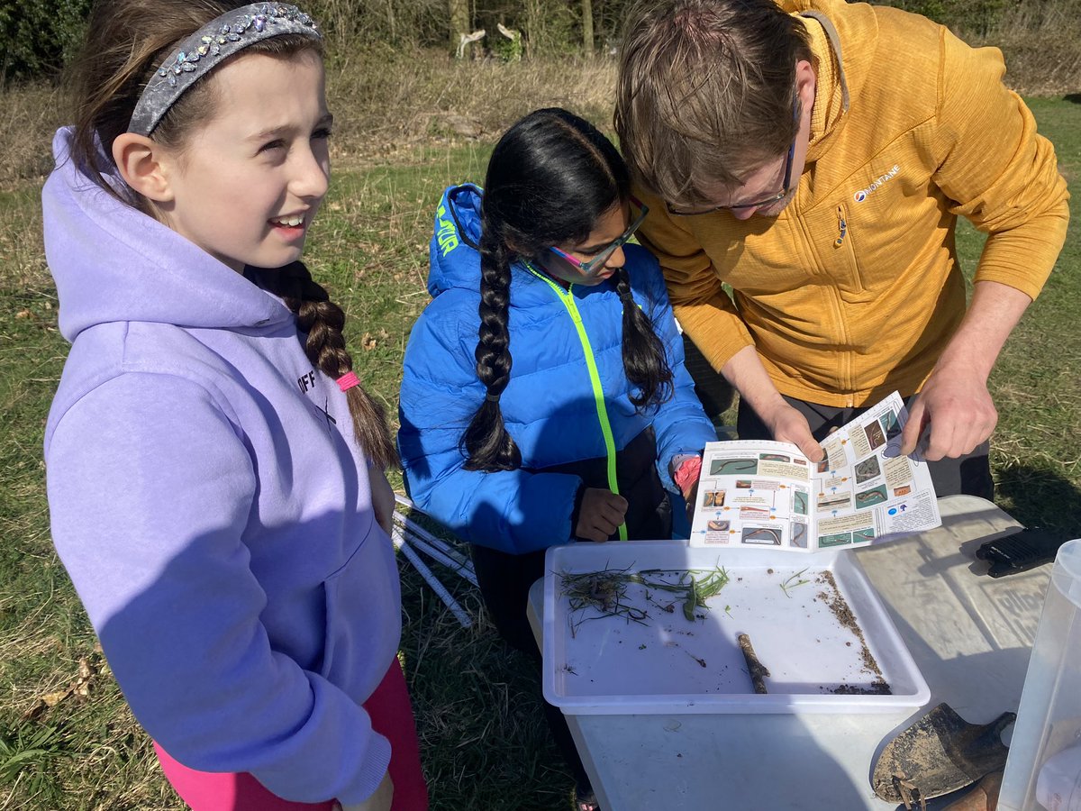 Ysgol Sychdyn tweet media