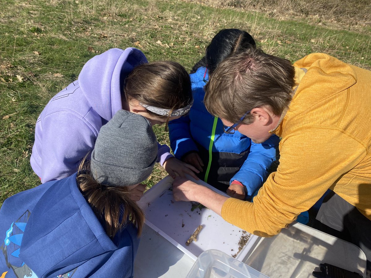 Ysgol Sychdyn tweet media