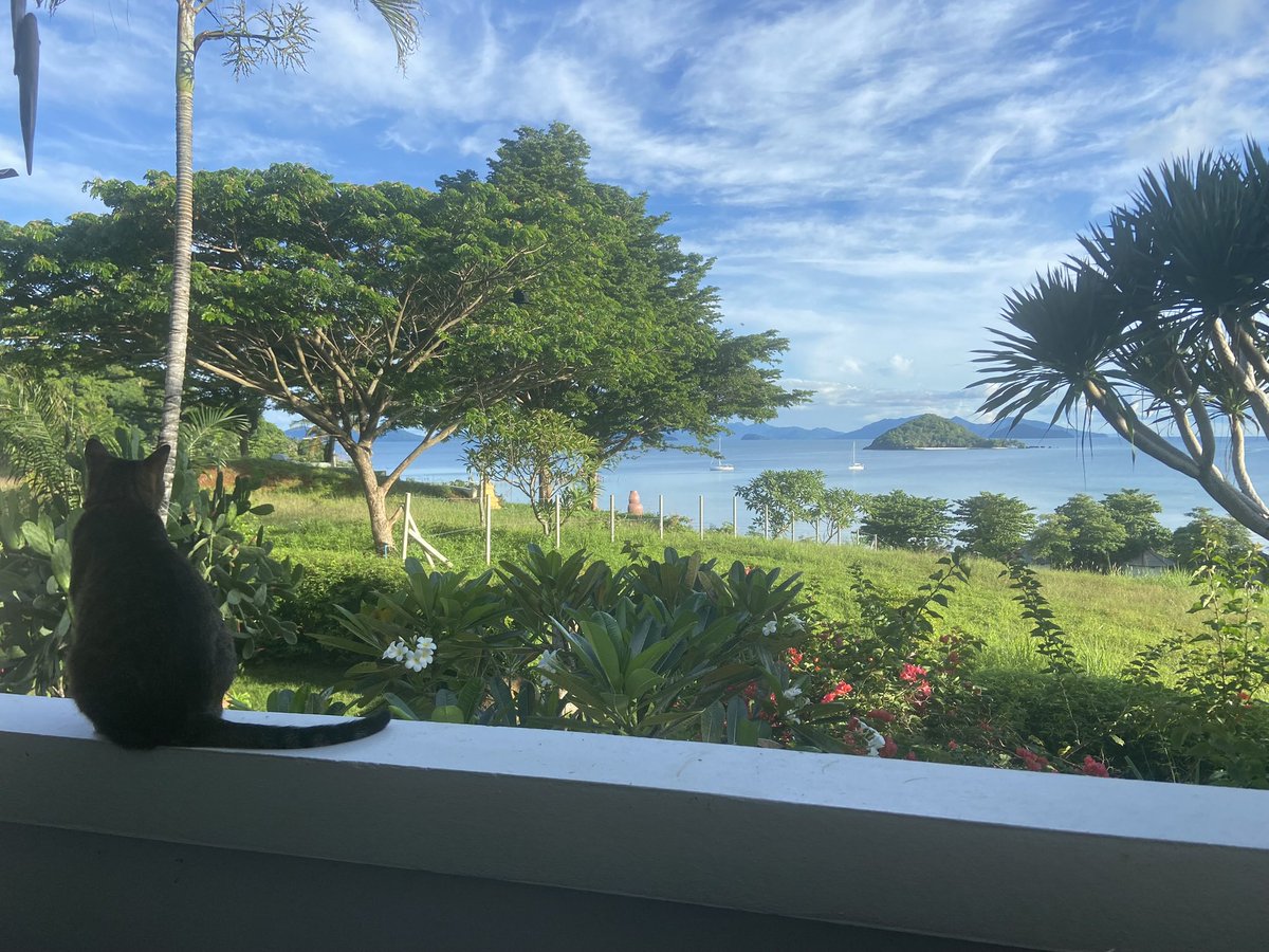 ⭕️Faerie ❤️ tweet media