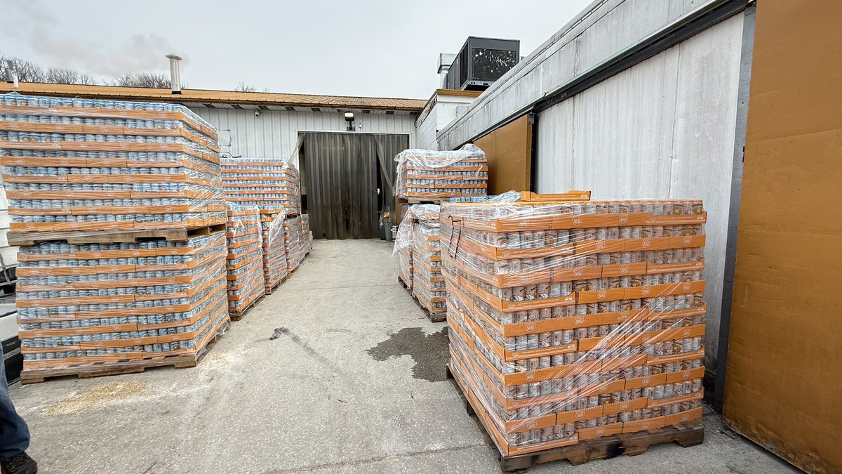 Giacomo Luca tweet media