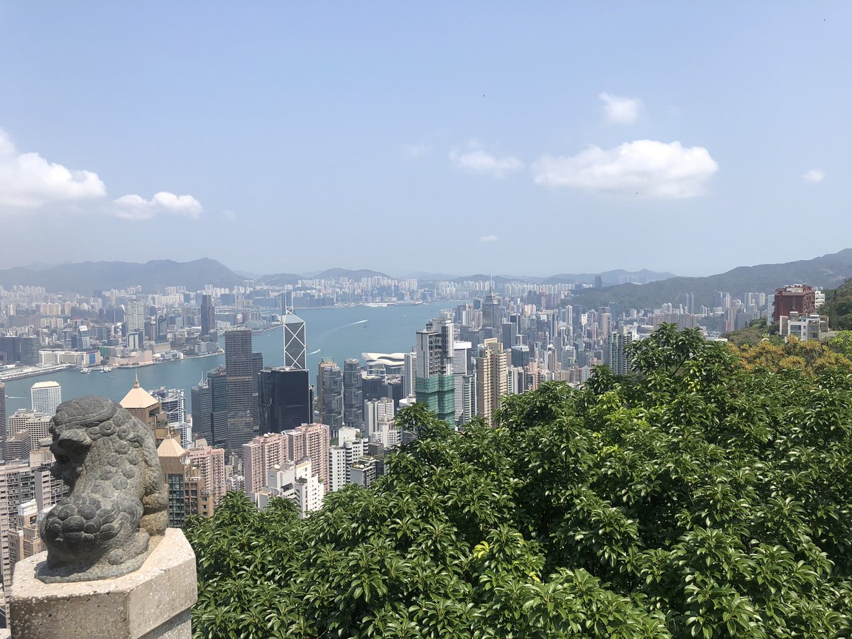 Simon P Evans tweet media