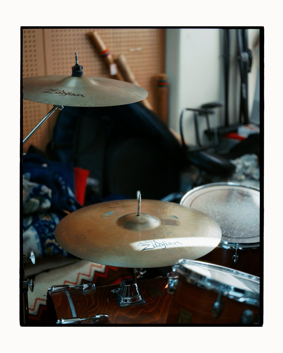 🌲🌲 tweet media