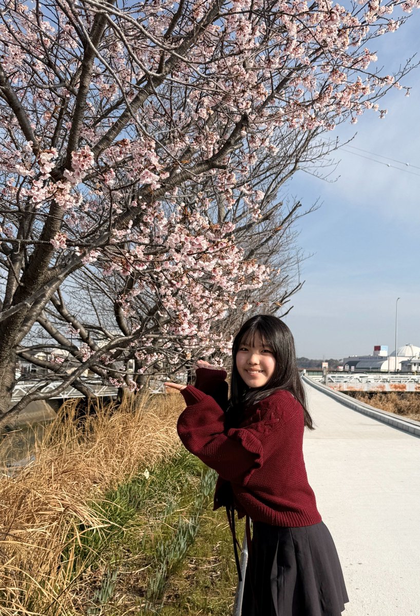 大久保非公式 (@chitaginga) / Posts / X