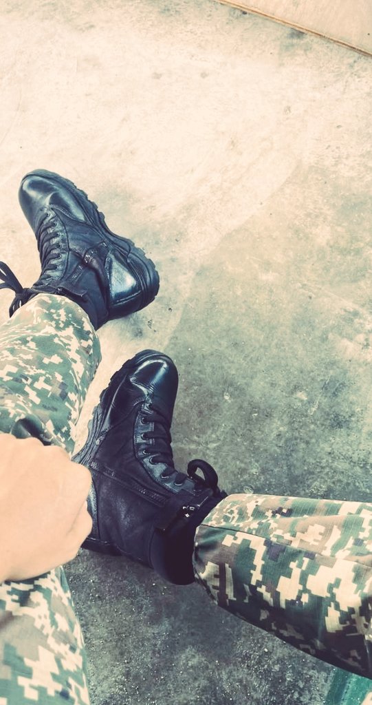 sorok hutan tweet media