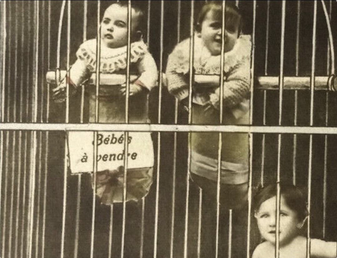 ✨️AreOhEssEyeEe✨️ tweet media