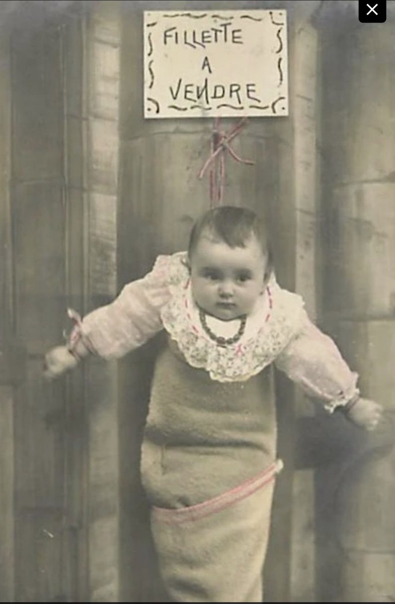 ✨️AreOhEssEyeEe✨️ tweet media