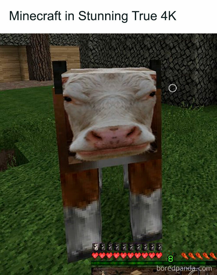 SKRSheepy tweet media
