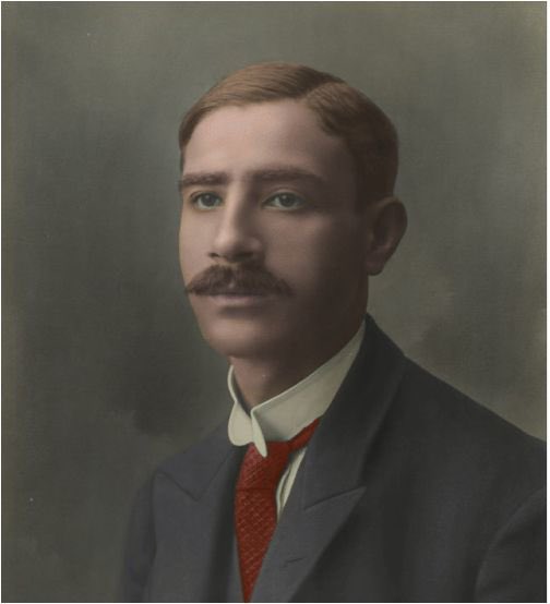 Diogo Oliveira tweet media