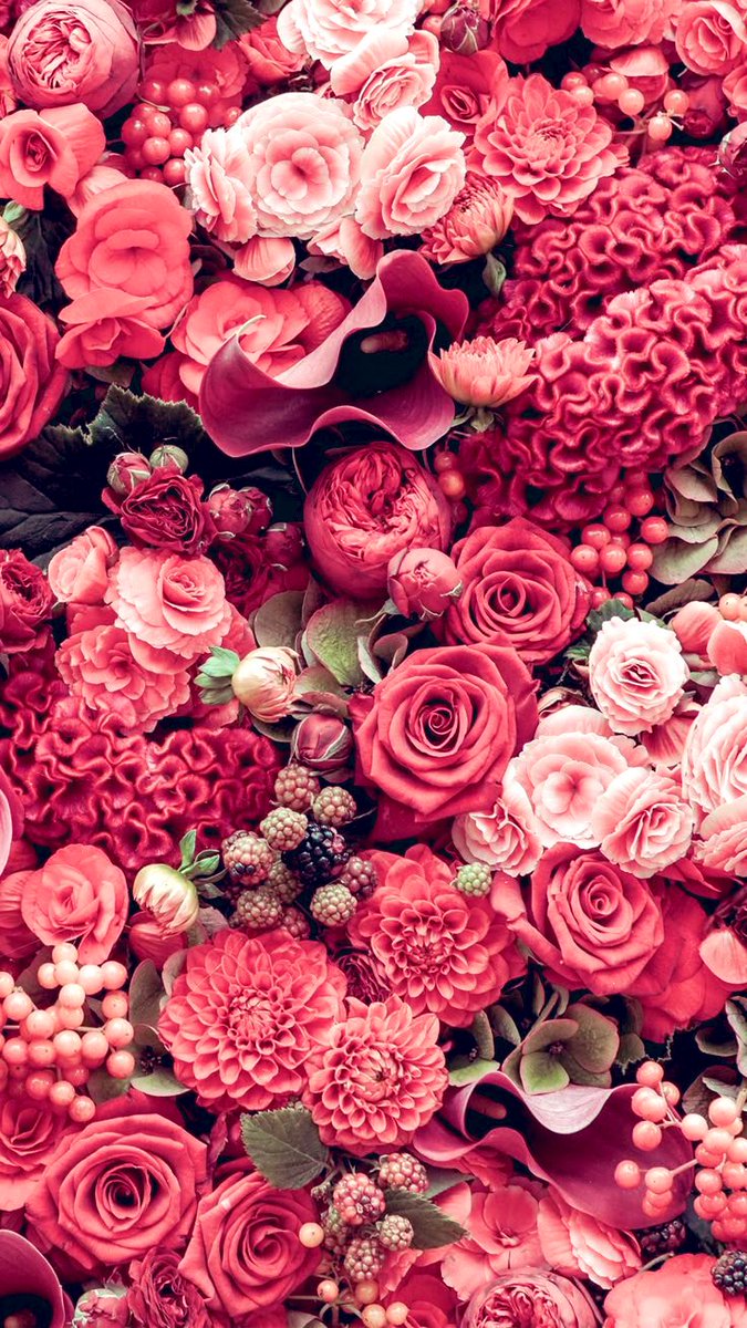 Dylan 🖋️ tweet media