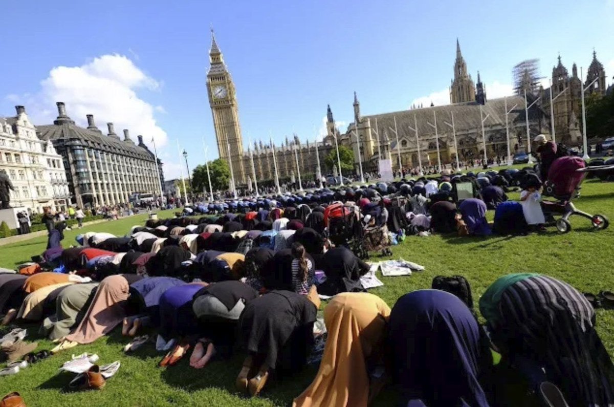 The Cyberpunk Dingo tweet media