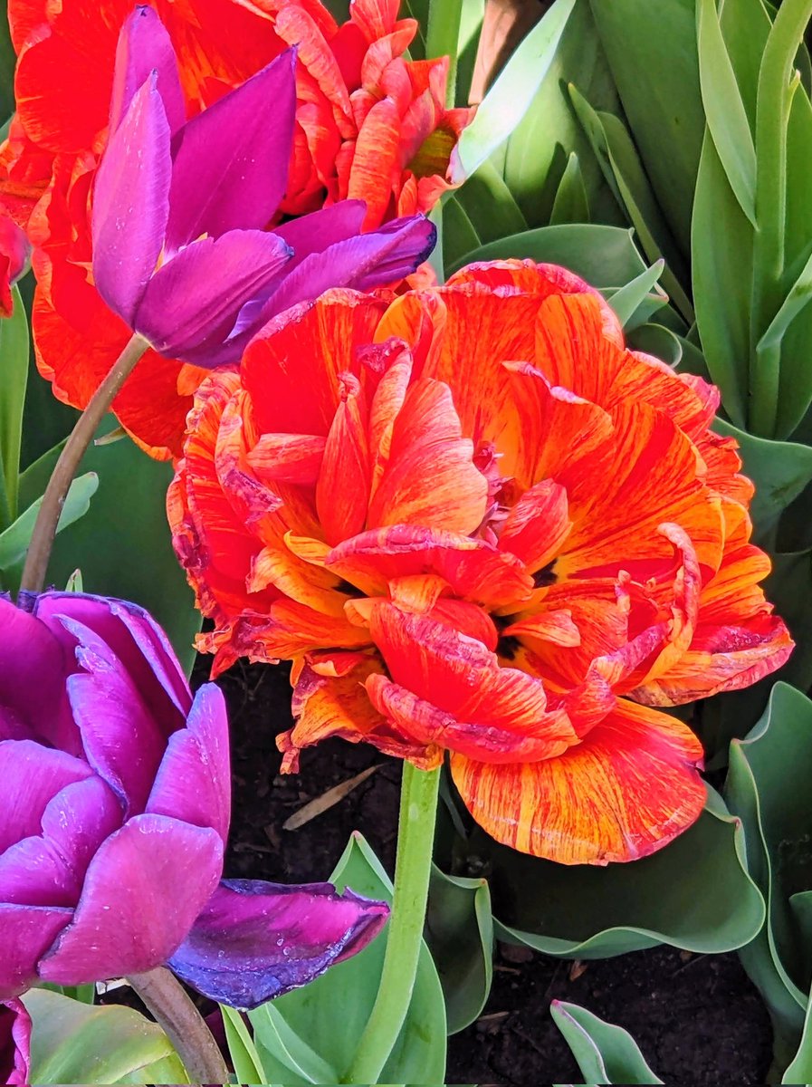 Billie Sucher tweet media