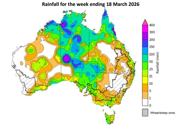 mkt_intl's tweet image. 🇦🇺 #Australia – 🌧️ QLD &amp;amp; NSW: Heavy rain and flooding continue to disrupt supply chains and delay field activity.
🌾 SA, VIC &amp;amp; WA: Recent rain improving soil moisture.
#pulses #lentil #chickpeas #peas #canola #durum #barley