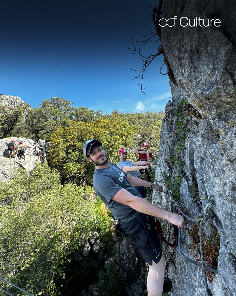 OddersLab tweet media