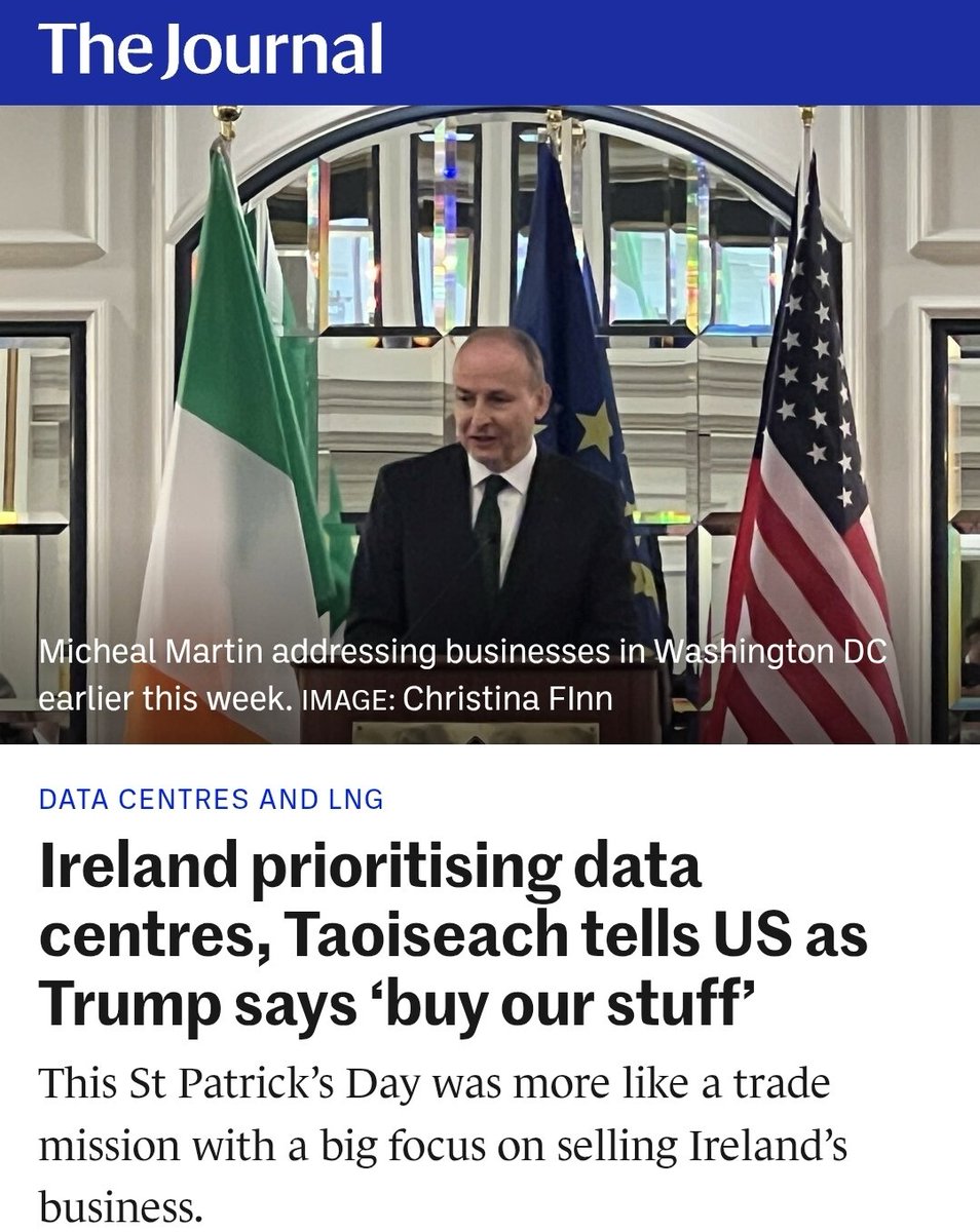 Lynn Boylan 🍷📖🐾 tweet media