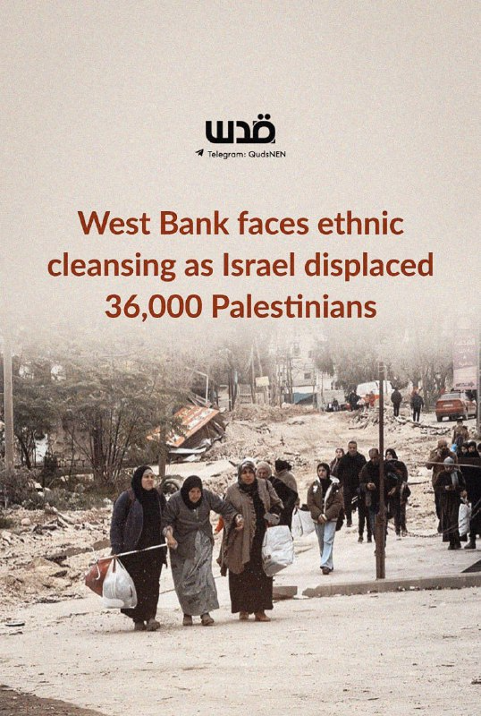 Eason Mao☢ tweet media