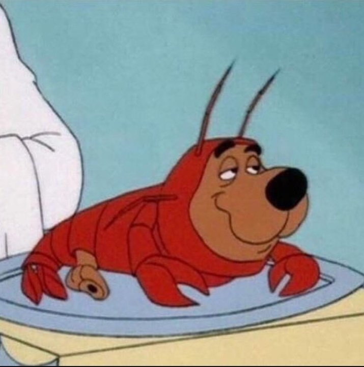 AuraChaos💀 tweet media