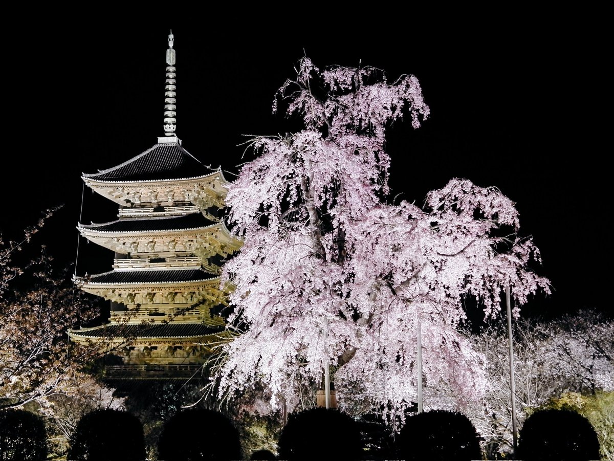 何年か前の京都 東寺の夜桜

桜の時期は毎年京都に行ってるけど、まだ2年前の写真が現像待ちになってるの流石に終わってるよな…

#カメラ好きな人と繋がりたい #写真好きな人と繋がりたい #京都 #東寺  #kyoto #ライトアップ #桜 #cherryblossoms