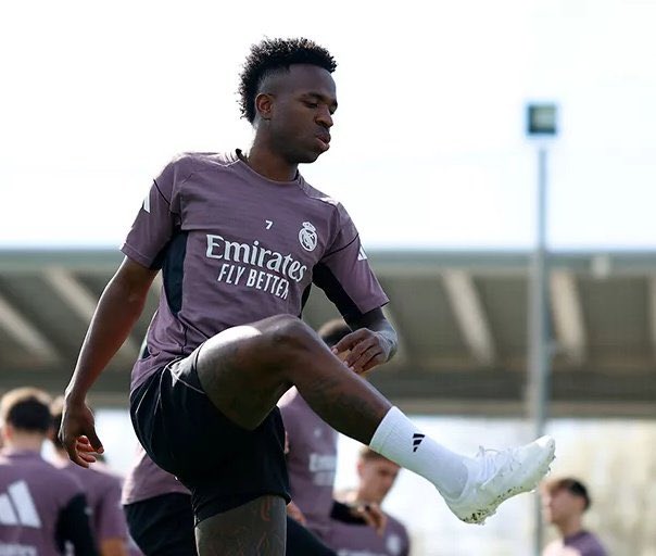 Kay | Snapchat & IG Ads tweet media