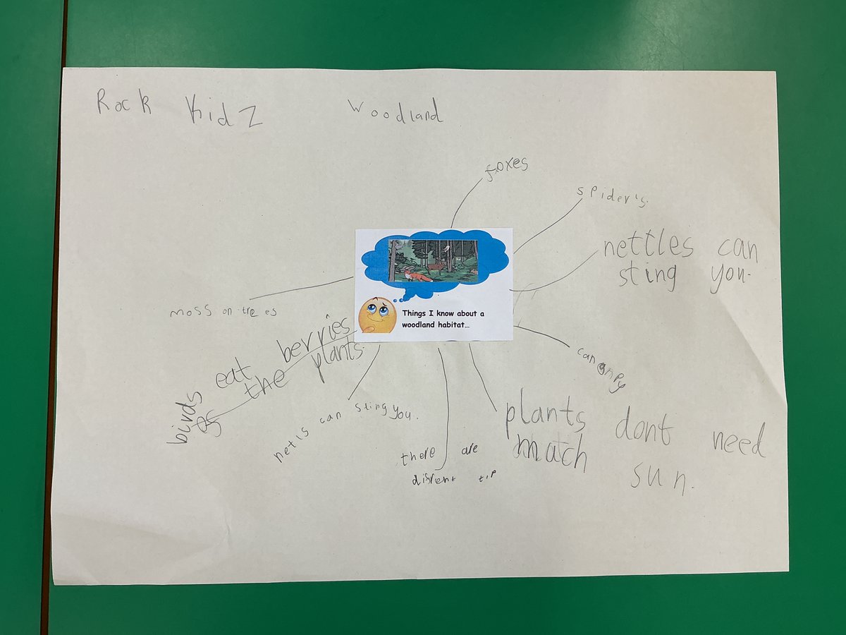 St Saviour CE School tweet media