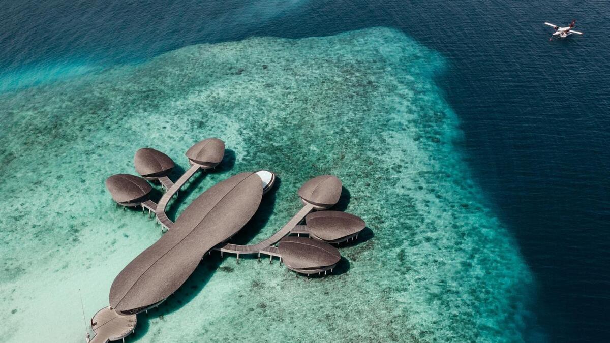 honeymoonscom's tweet photo. Surrender to butler-served luxury on a private island paradise at The St. Regis Maldives Vommuli Resort, where overwater Iridium Spa rituals and private pool villas redefine romance. https://t.co/By7ZkYKsL7 https://t.co/I4VqrJBuHw