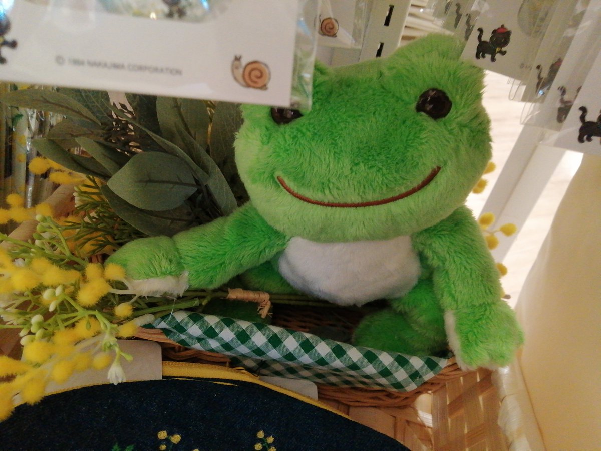 みしょとばびゅーんwithとらきち tweet media