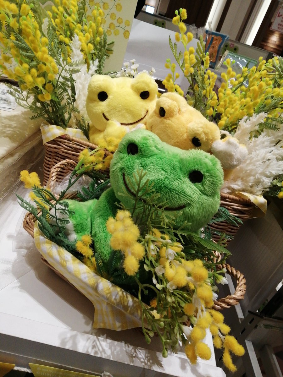 みしょとばびゅーんwithとらきち tweet media