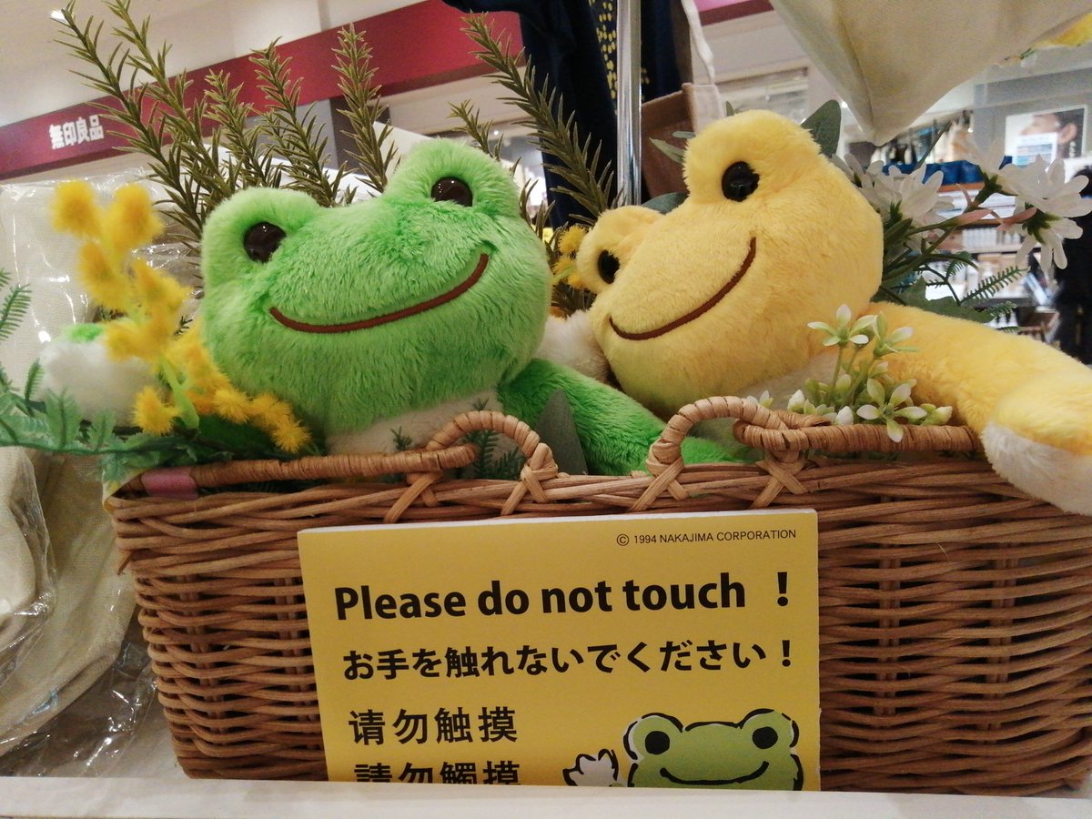 みしょとばびゅーんwithとらきち tweet media