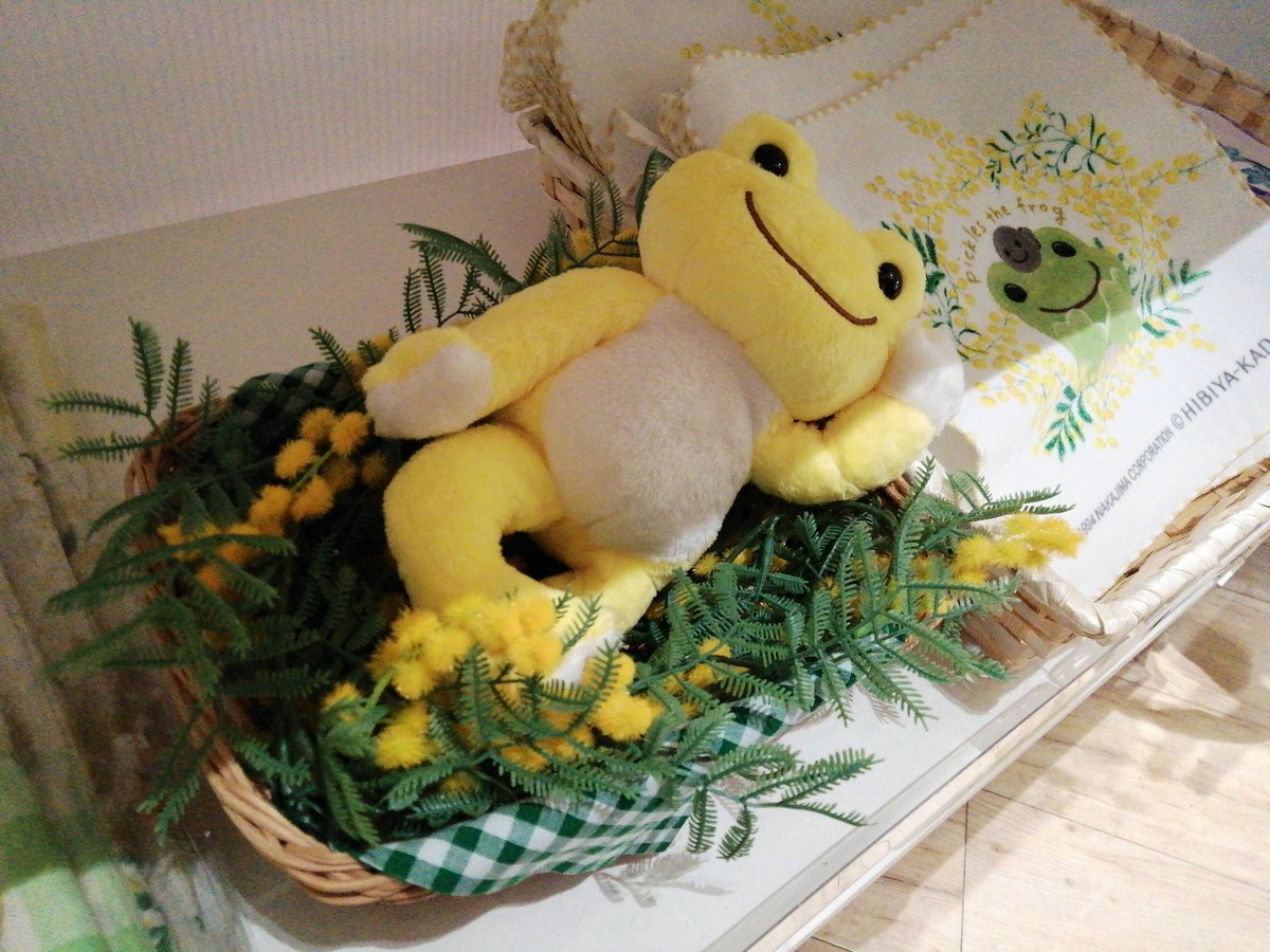 みしょとばびゅーんwithとらきち tweet media