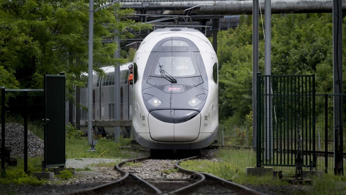 Alex Xplore tweet media