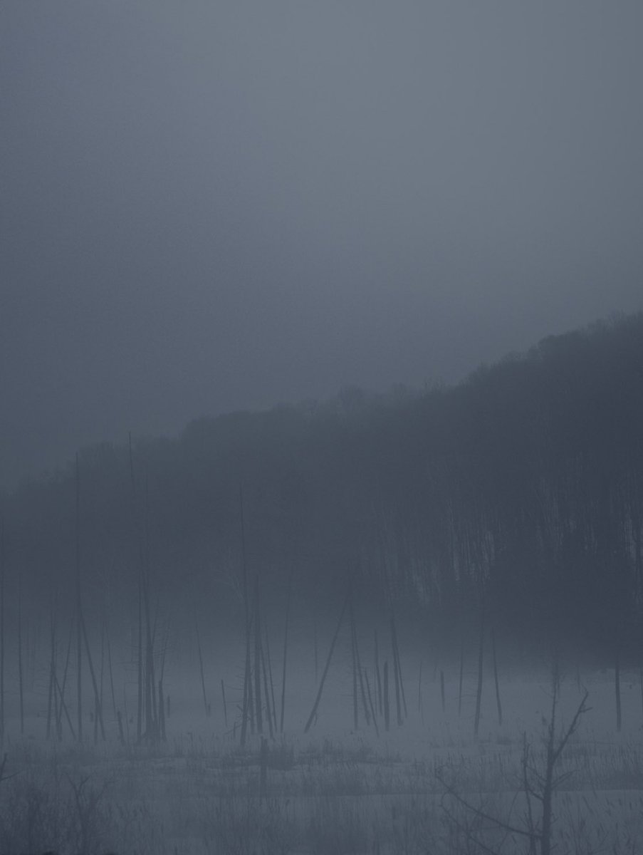 Loki Highlock tweet media