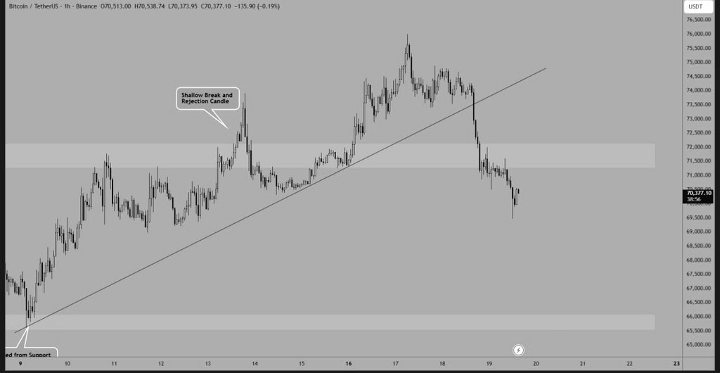 The CryptoPalace🔶🥏 tweet media