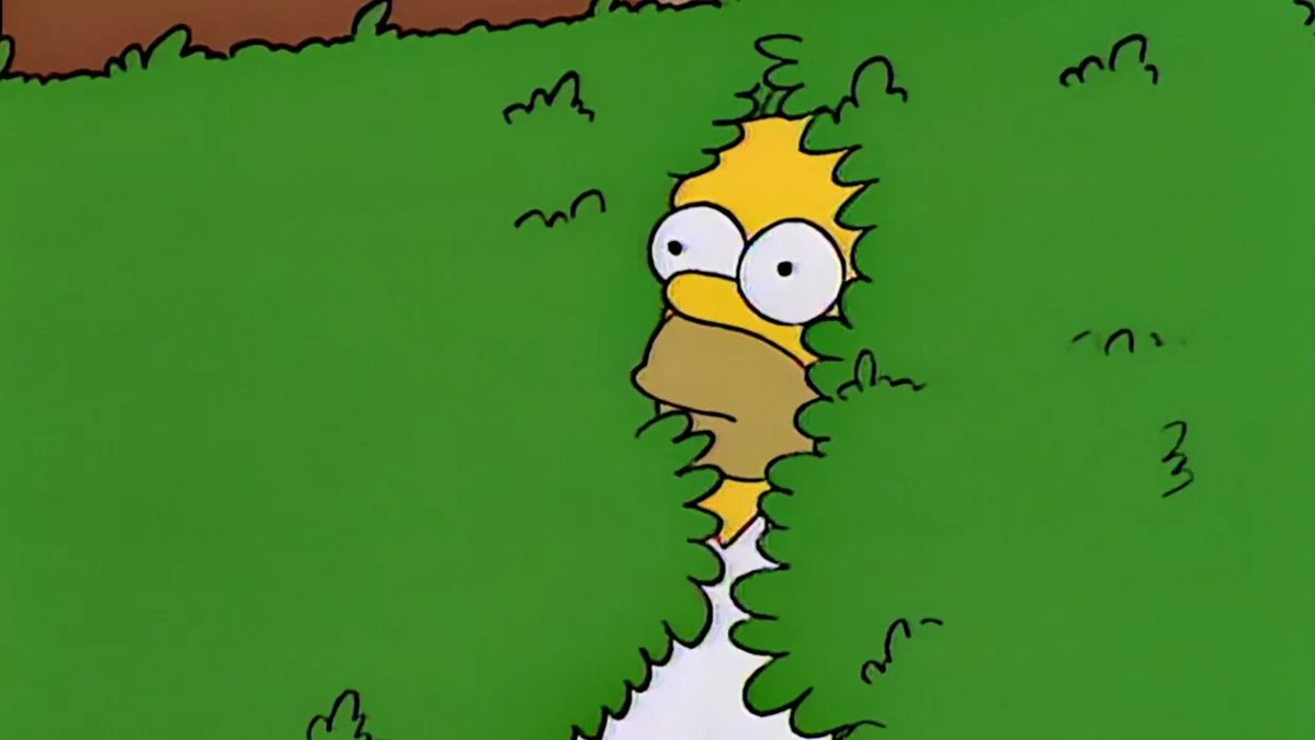 Kamil Sochanek tweet media