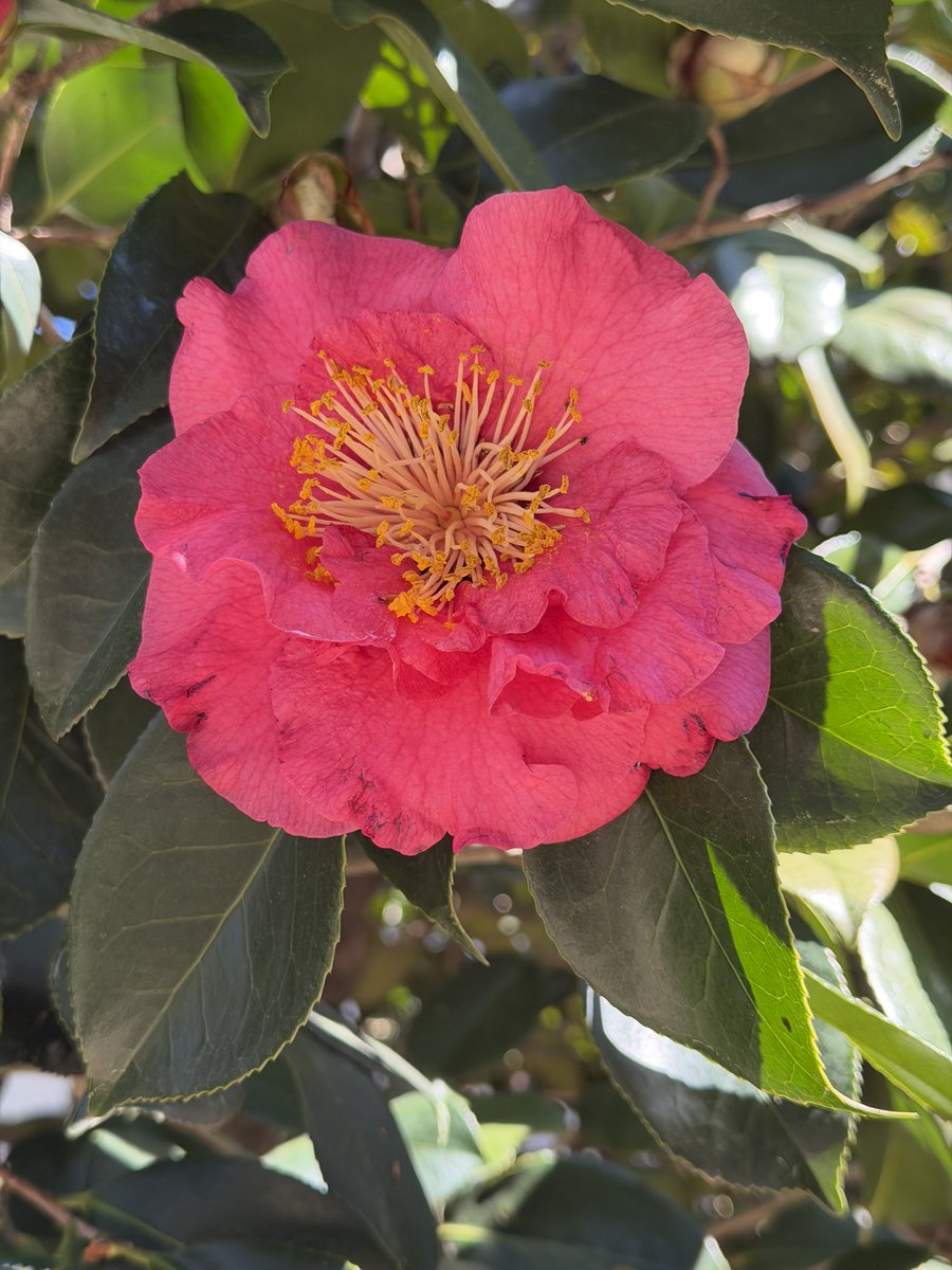 Jo Hackl tweet media