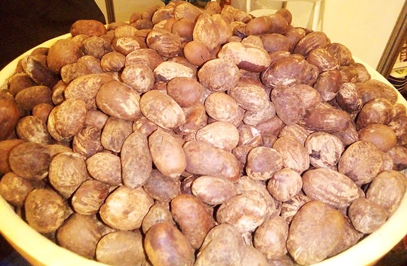 agridigitale1's tweet image. Rendez-vous mondial sur le #Karité attendu à #Accra agridigitale.net/article/rendez… #Ghana