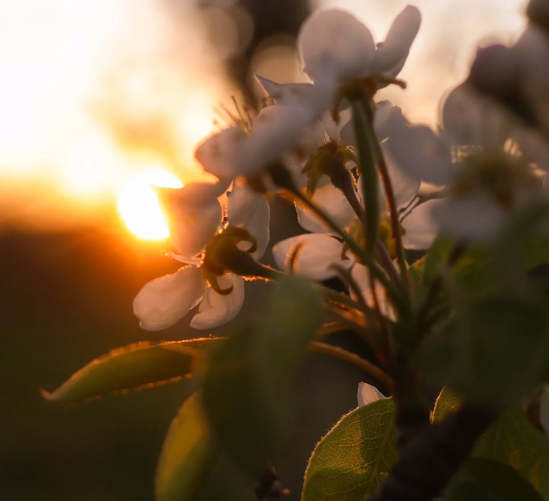 Segrià Turisme tweet media