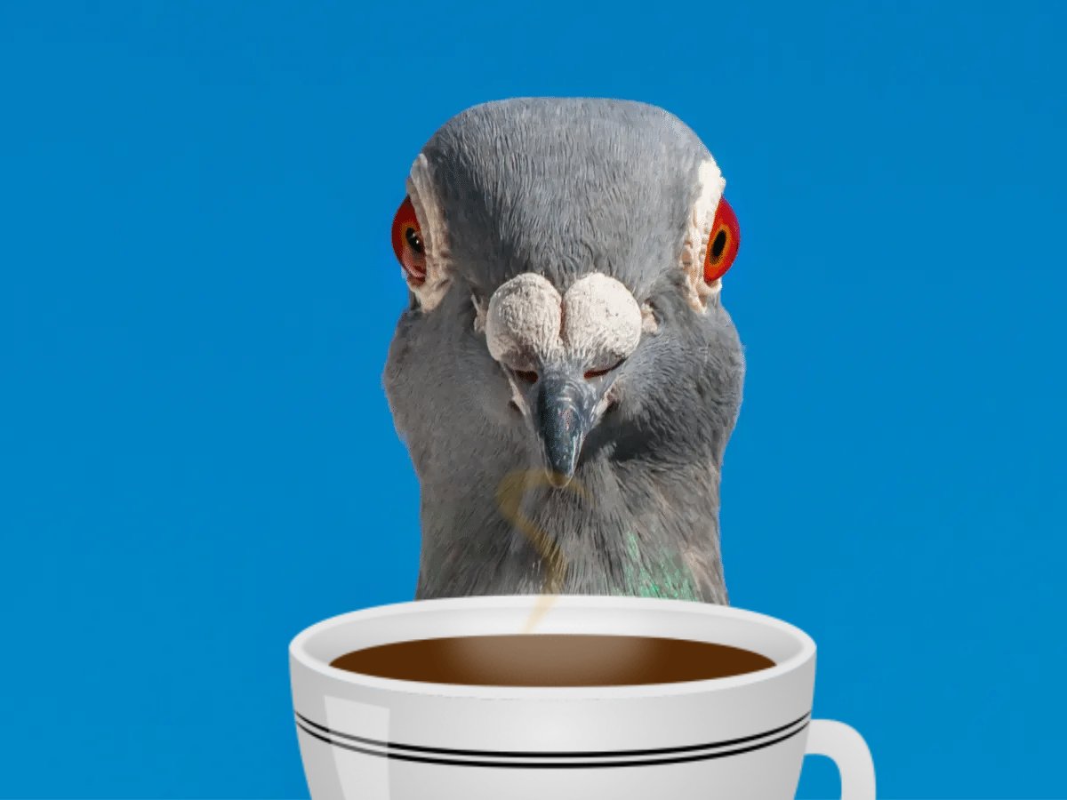 Ghigeon ☕❤️🐦| VTuber  tweet media