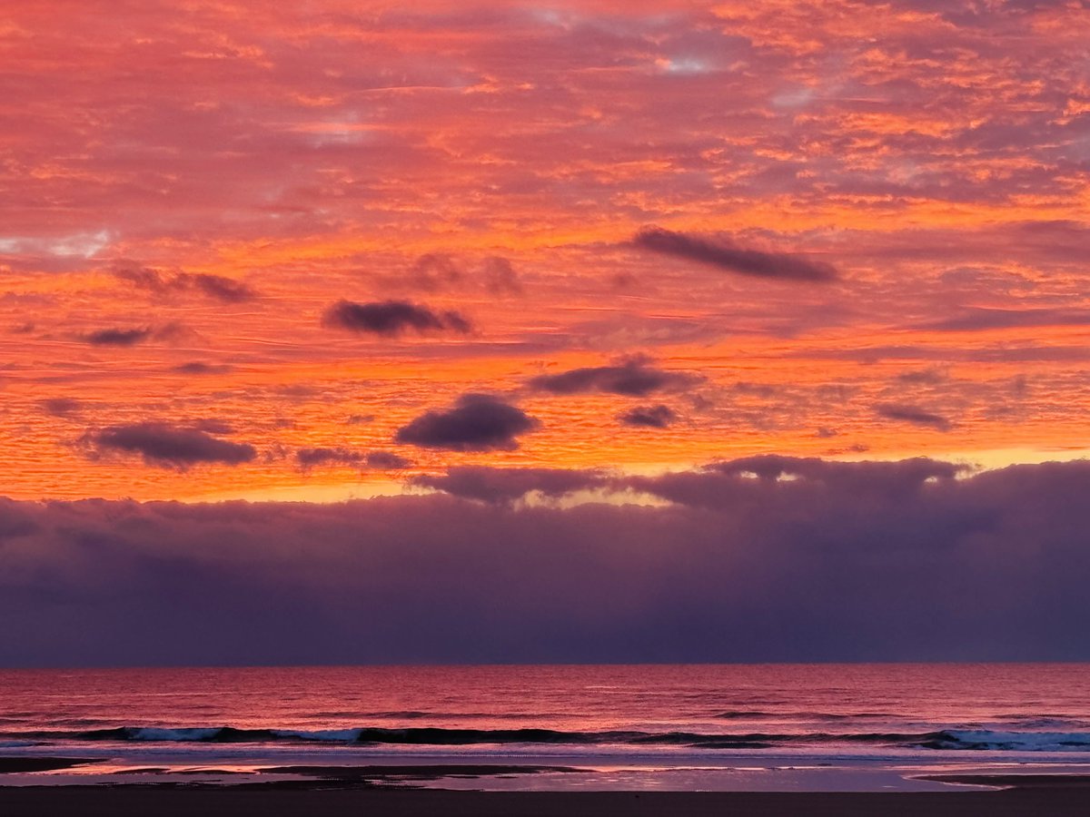 Realtor Rick 💙 tweet media