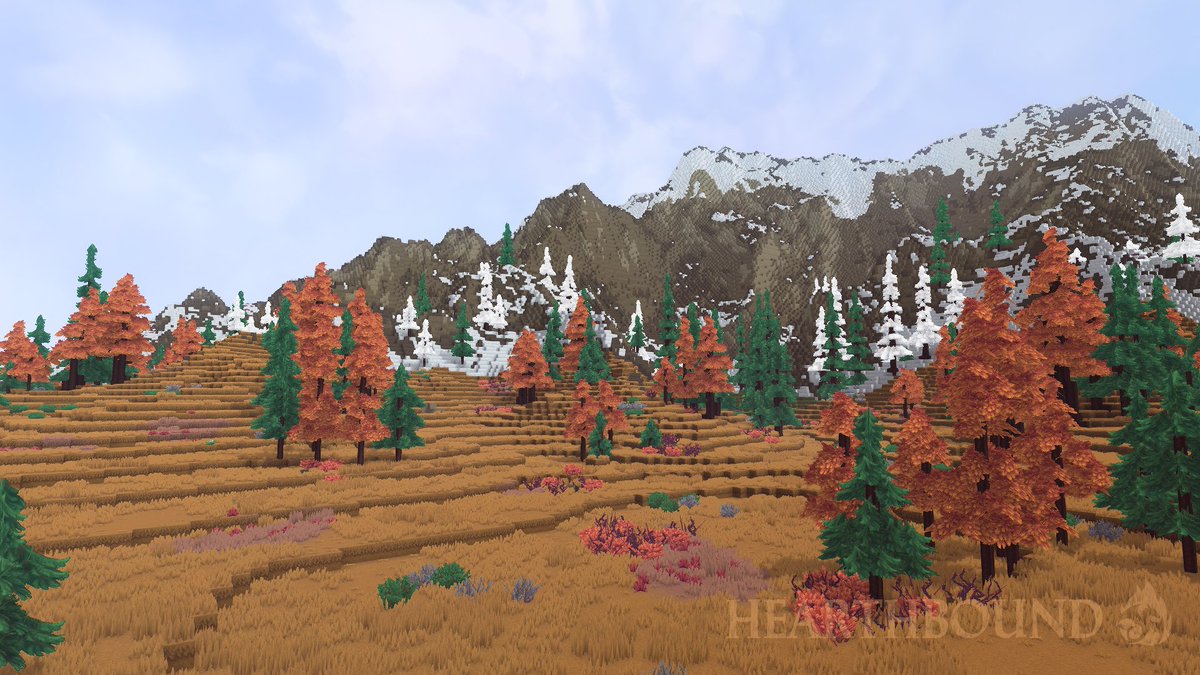 Anderssn Builds tweet media