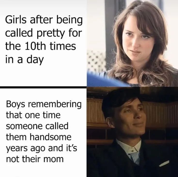 The Best tweet media